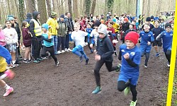 Mistrzostwa Miasta Konina w drużynowych biegach przełajowych